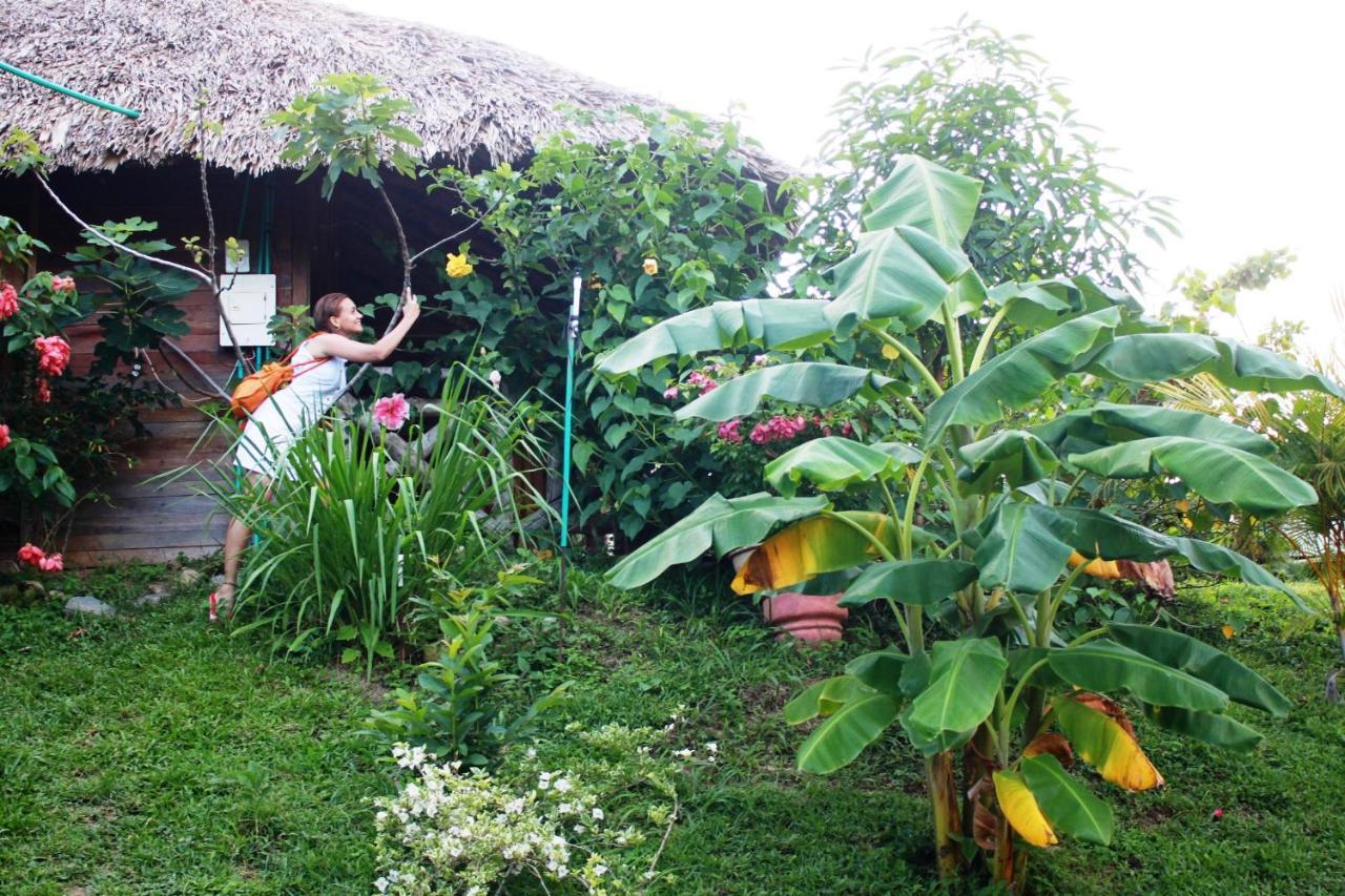 Cabanas Ecoturisticas Y Club Gaira Tayrona Villa Santa Marta  Buitenkant foto